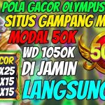 Pola Maxwin Zeus 1000 Hari Ini